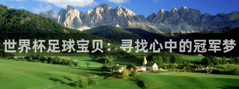 2026世界杯亚洲区预选赛:世界杯足球宝贝:寻找心中的冠军梦