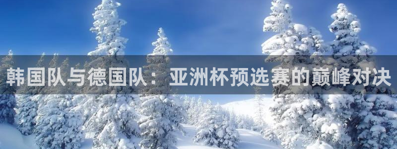 2026男足世界杯:韩国队与德国队:亚洲杯预选赛的巅峰对决