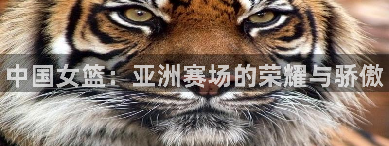 2026世预赛全部赛程:中国女篮:亚洲赛场的荣耀与骄傲